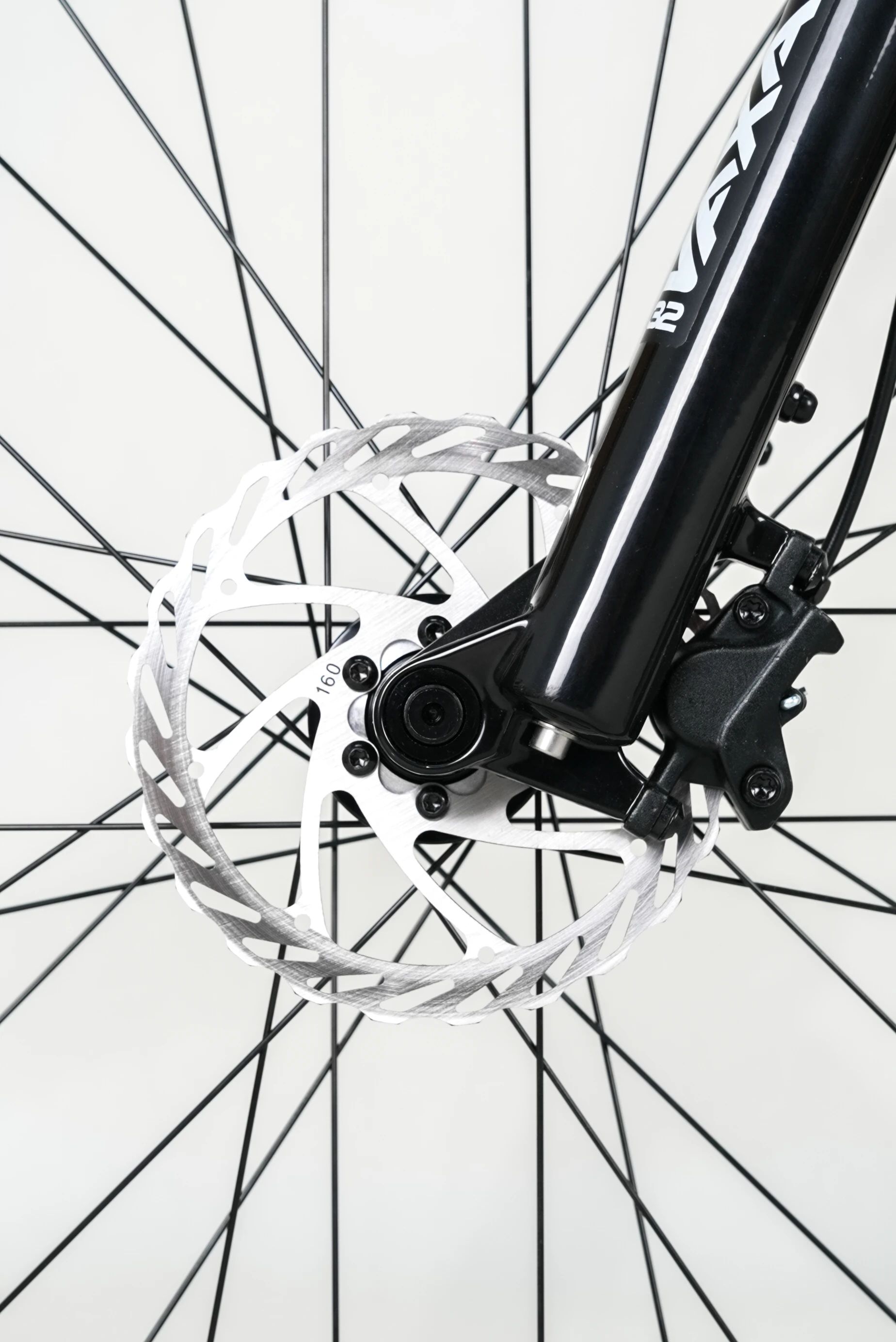 安寶細(xì)節(jié)圖